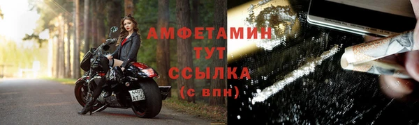 гашик Карпинск