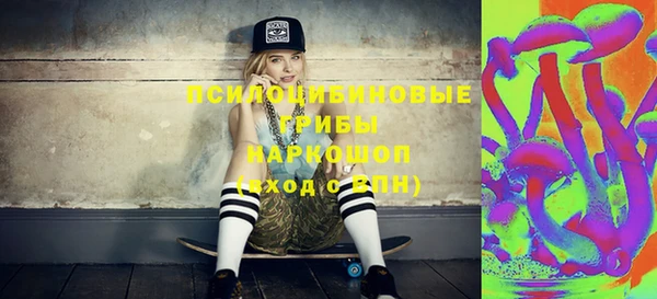 ГАЛЛЮЦИНОГЕННЫЕ ГРИБЫ Вязьма