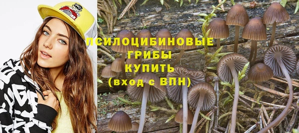 прущая мука Волоколамск