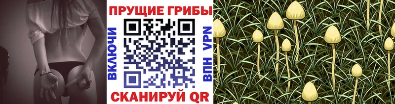 Псилоцибиновые грибы Magic Shrooms  купить наркотик  ОМГ ОМГ маркетплейс  Игарка 